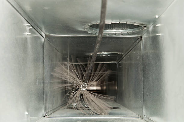 Best Dryer Vent Cleaning Services  in The Galena Territory, IL